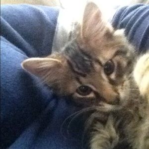 Meet your Posher, Kilyn